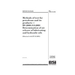 BS 2000-313:2001