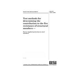 BS DD ENV 13381-4:2002