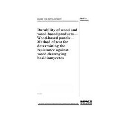 BS DD ENV 12038:2002