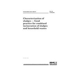 BS PD CR 13768:2001