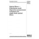 BS PD IEC TS 61941:2000