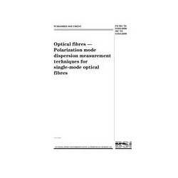 BS PD IEC TS 61941:2000