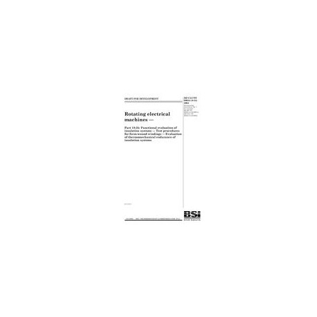 BS DD CLC/TS 60034-18-34:2004