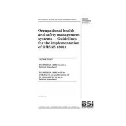 BS OHSAS 18002:2000