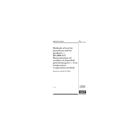 BS 2000-317:1995