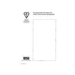 BS PAS 003:1994