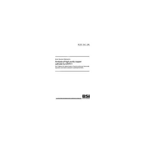 BS 7317-7:1990