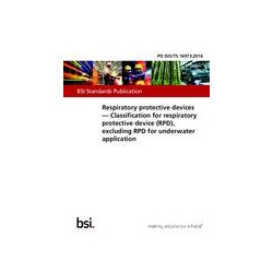 BS PD ISO/TS 16973:2016