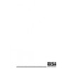 BS 5400-10:1980