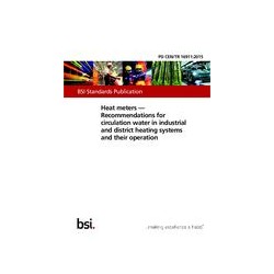 BS PD CEN/TR 16911:2015