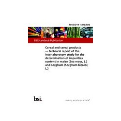 BS PD CEN/TR 16875:2015