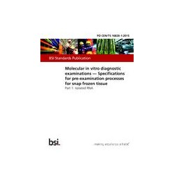 BS PD CEN/TS 16826-1:2015