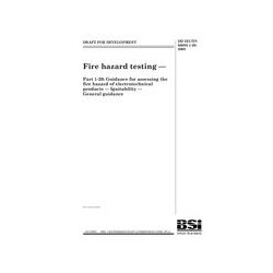 BS DD IEC/TS 60695-1-20:2008
