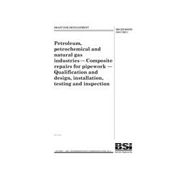 BS DD CEN ISO/TS 24817:2011