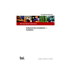 BS PD CEN/TR 16787:2014