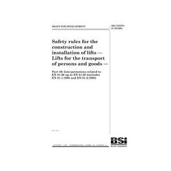 BS DD CEN/TS 81-29:2004