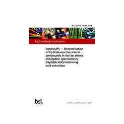 BS PD CEN/TS 16731:2014