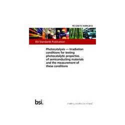 BS PD CEN/TS 16599:2014