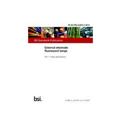 BS PD IEC/PAS 62816-1:2013