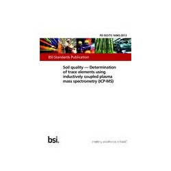 BS PD ISO/TS 16965:2013