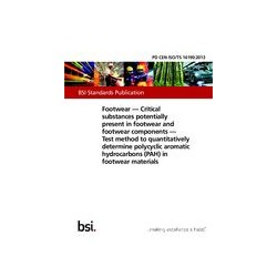BS PD CEN ISO/TS 16190:2013