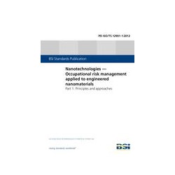 BS PD ISO/TS 12901-1:2012