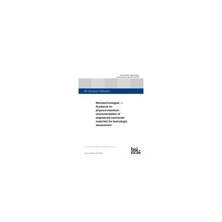 BS PD ISO/TR 13014:2012