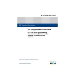 BS PD IEC/TS 60034-27-2:2012