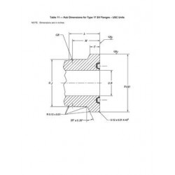 API Spec 17D (R2018) Errata 8