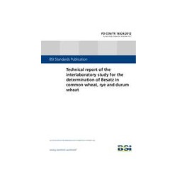 BS PD CEN/TR 16324:2012