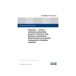 BS PD CEN ISO/TS 16179:2012