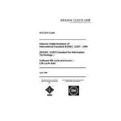 IEEE 12207.1-1997