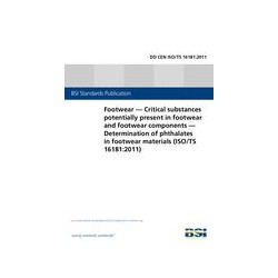 BS DD CEN ISO/TS 16181:2011