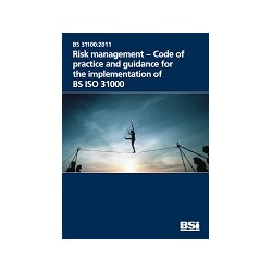 BS 31100:2011