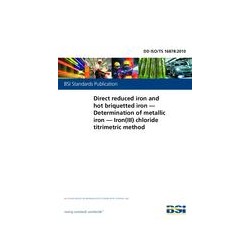 BS DD ISO/TS 16878:2010