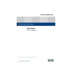 BS PD ISO/TR 10809-2:2011