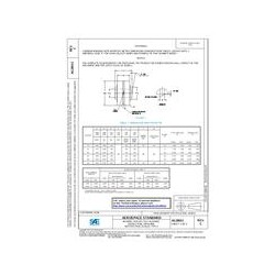 SAE AS28913C