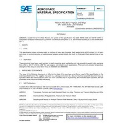 SAE AMS4924J