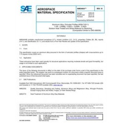 SAE AMS4404B
