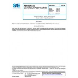 SAE AMS1383B