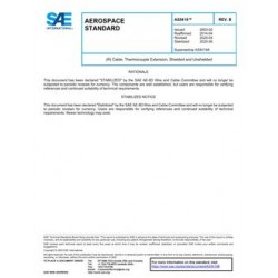SAE AS5419B
