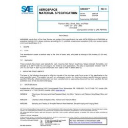 SAE AMS4899E