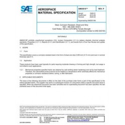 SAE AMS5519P