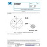 SAE AS9967A