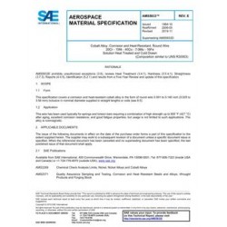 SAE AMS5833E