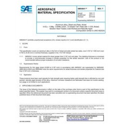 SAE AMS4041T