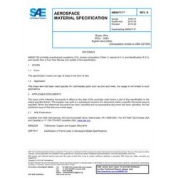 SAE AMS4713G