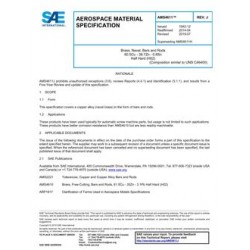 SAE AMS4611J