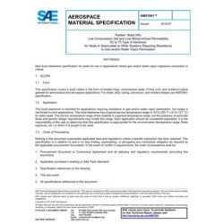 SAE AMS7601