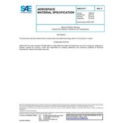 SAE AMS3193F